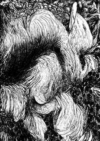 thumbC_002