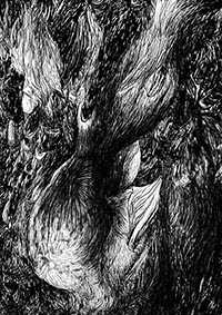 thumbD_001