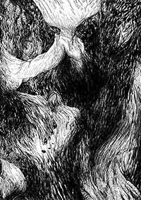 thumbF_008
