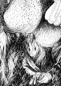 thumbF_044