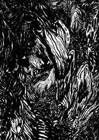 thumbC_022