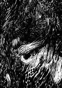 thumbD_035
