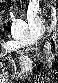 thumbF_017