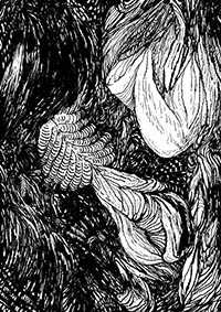 thumbF_038