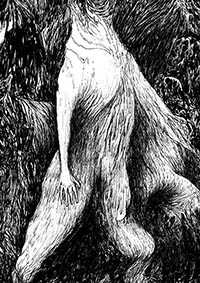 thumbF_006