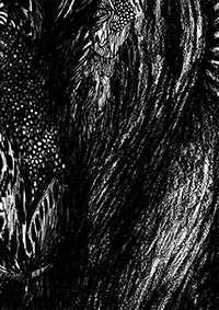 thumbD_044