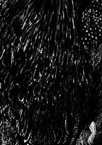 thumbD_041