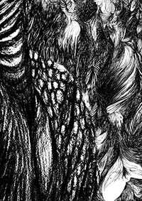 thumbD_045
