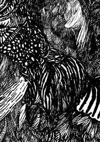 thumbD_054