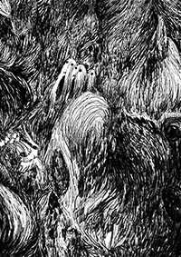 thumbF_002