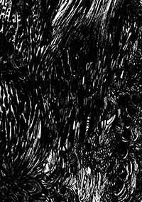 thumbD_038