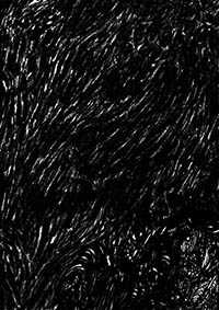 thumbD_040
