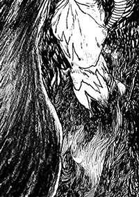 thumbD_015
