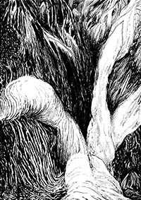 thumbB_019