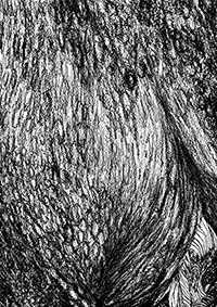thumbA_028