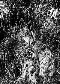 thumbF_005