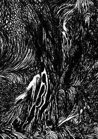 thumbB_028