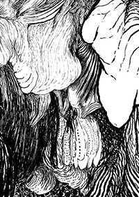 thumbF_050