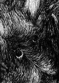thumbF_003