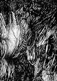 thumbF_039