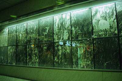 thumb_27_PromenadeGallery_00
