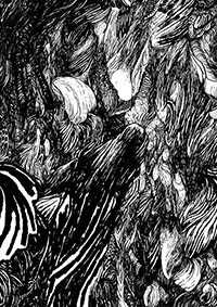 thumbD_055