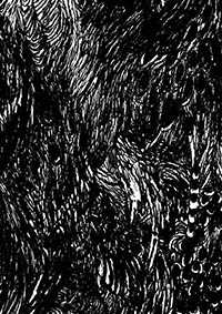 thumbF_031