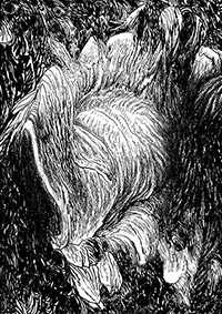 thumbC_011