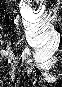 thumbF_012