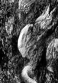 thumbD_016
