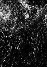 thumbD_005