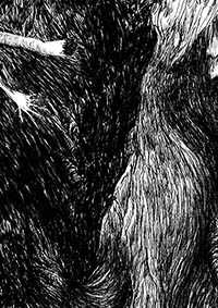 thumbD_008