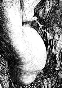 thumbF_043