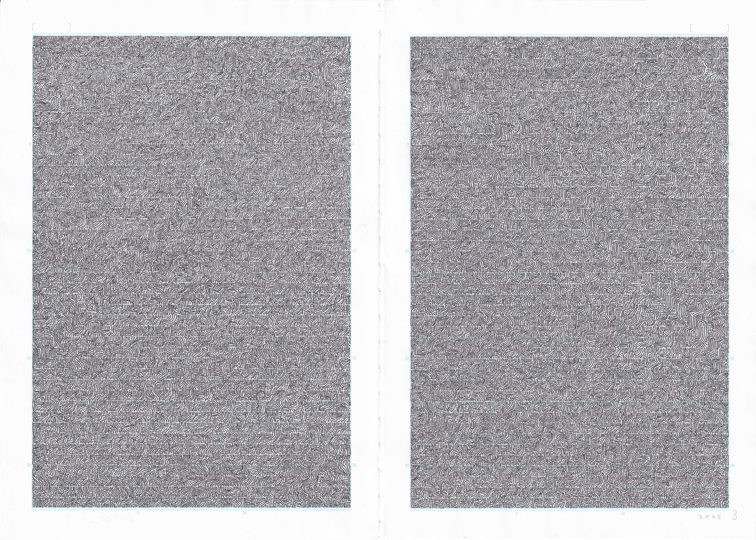 dlnB5D5mm0205
