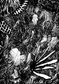thumbD_022