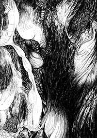 thumbD_049