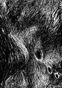 thumbF_004