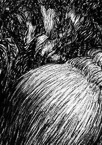 thumbF_025