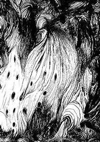 thumbB_002