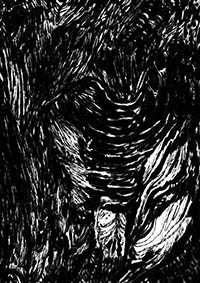 thumbD_037