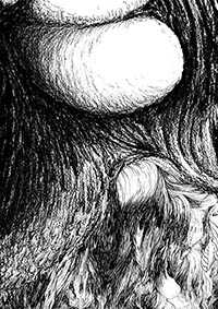 thumbF_046