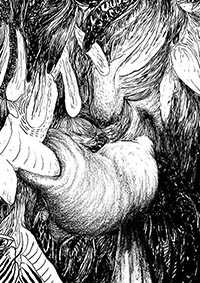 thumbF_049